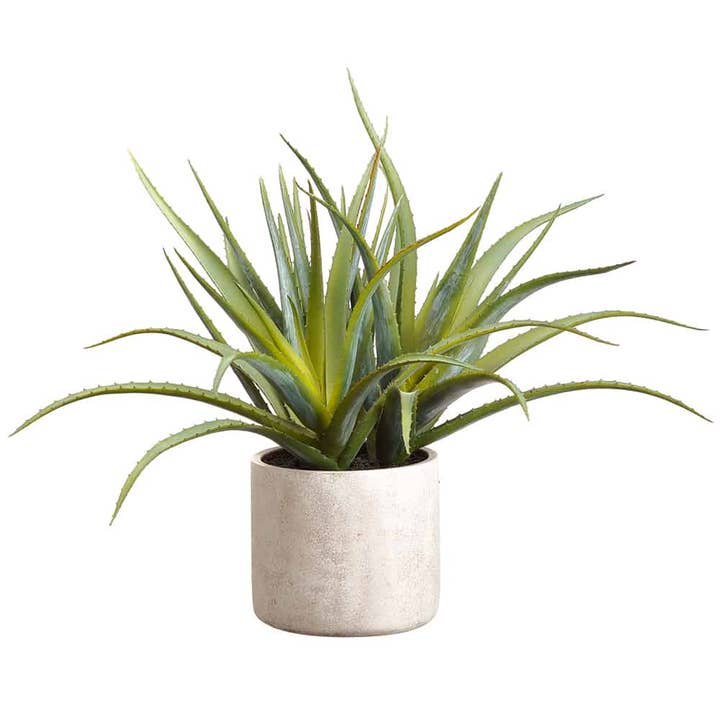 21" Aloe Plant in Cement Pot Green for wholesale by Silk Flower Depot
