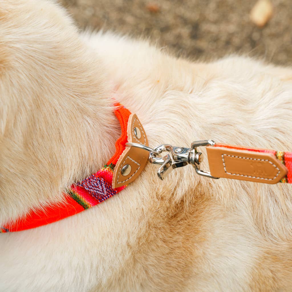 Hiro + Wolf - Wholesale Pet Collar - Dog - Inca Orange Dog Collar5