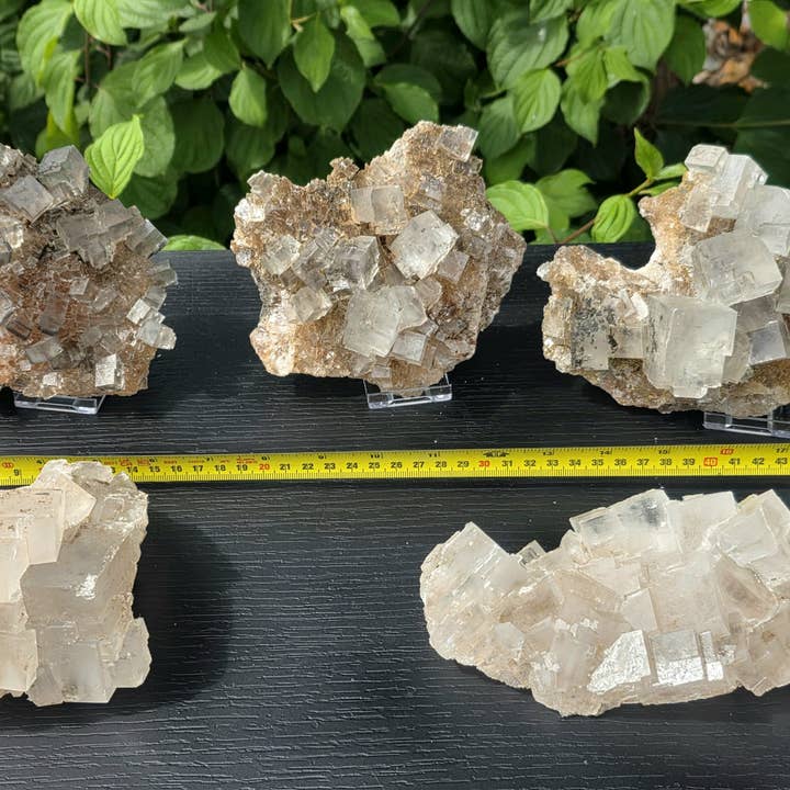 Distinction Crystals – wholesale Spiritual stone/crystal – Large Halite Salt Crystal Clusters 600-800g1