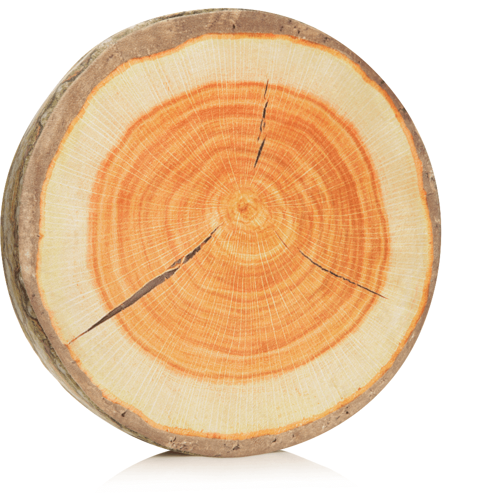 Husband Pillow - Vendita all'ingrosso Cuscini per letto - 360 - FETTA-REGISTRO-MAPL23