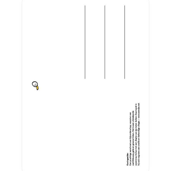 Eendje - Wholesale Everyday Greeting Card - Postcard with King's Eider1