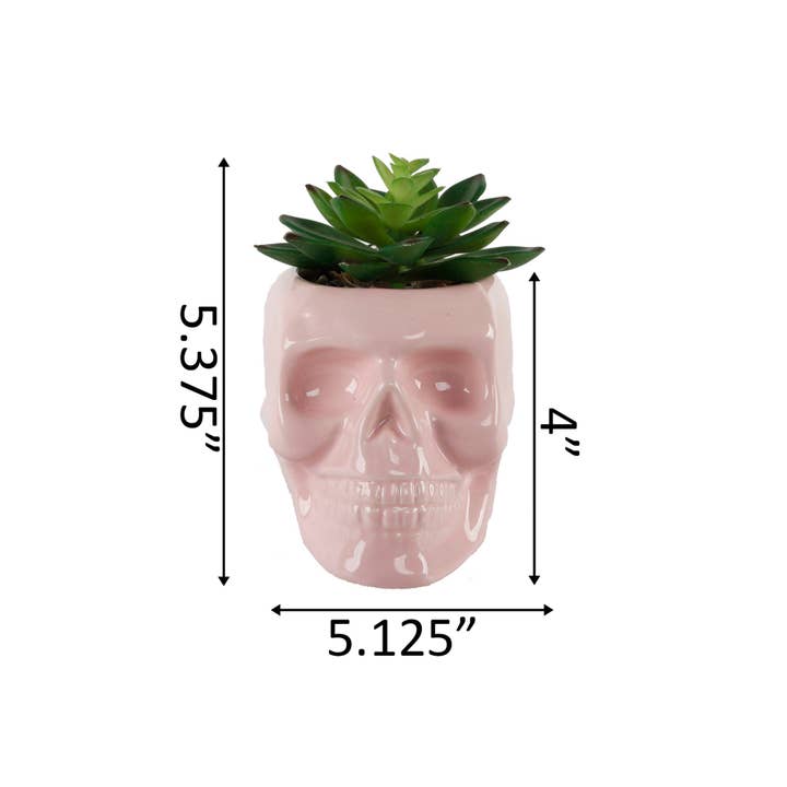 Flora Bunda Inc - Wholesale Artificial Plant - Skull Succulent Planter4