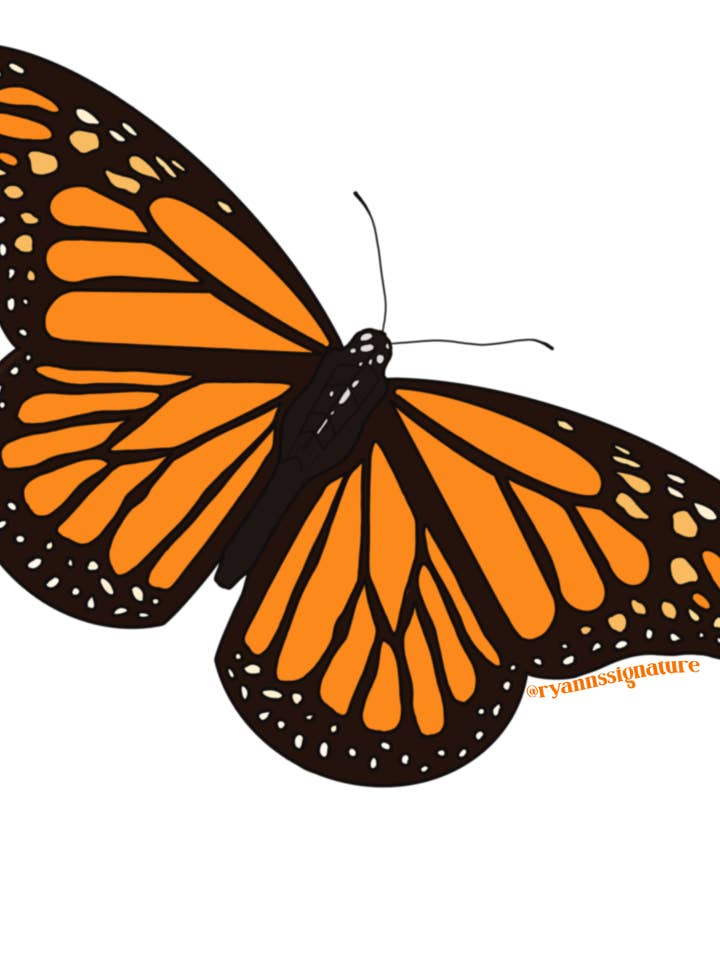 Monarch Butterfly Sticker for wholesale by Ryann's Signature