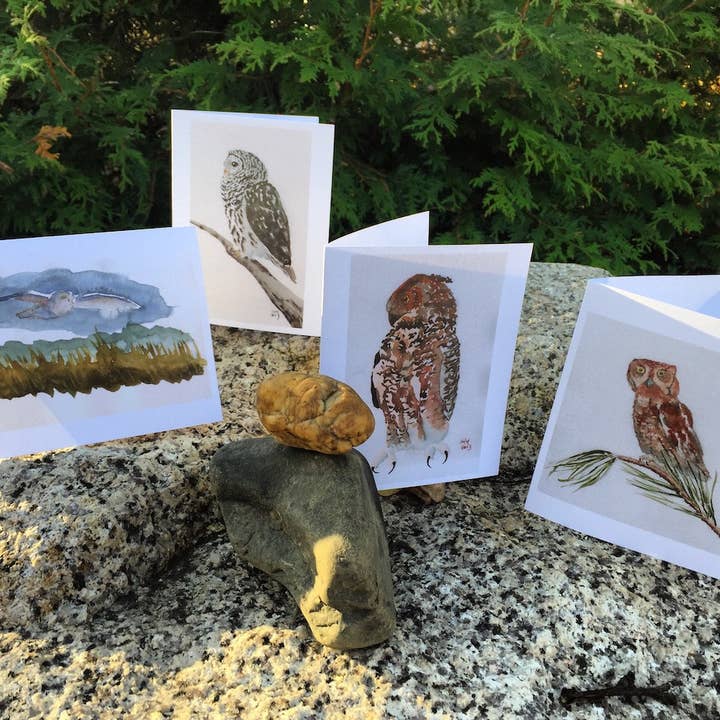 New England Owl Note Card-collectie voor wholesale door Sandy McDermott Art