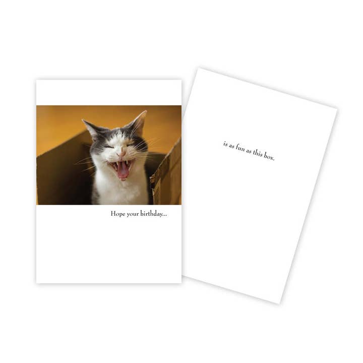Funny Cat in a Box Birthday Card for wholesale by Sun Day Greetings