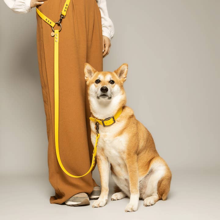 Leave dog MULTIPOSITION biothane - LEMON for wholesale by KITSUNE.DOG