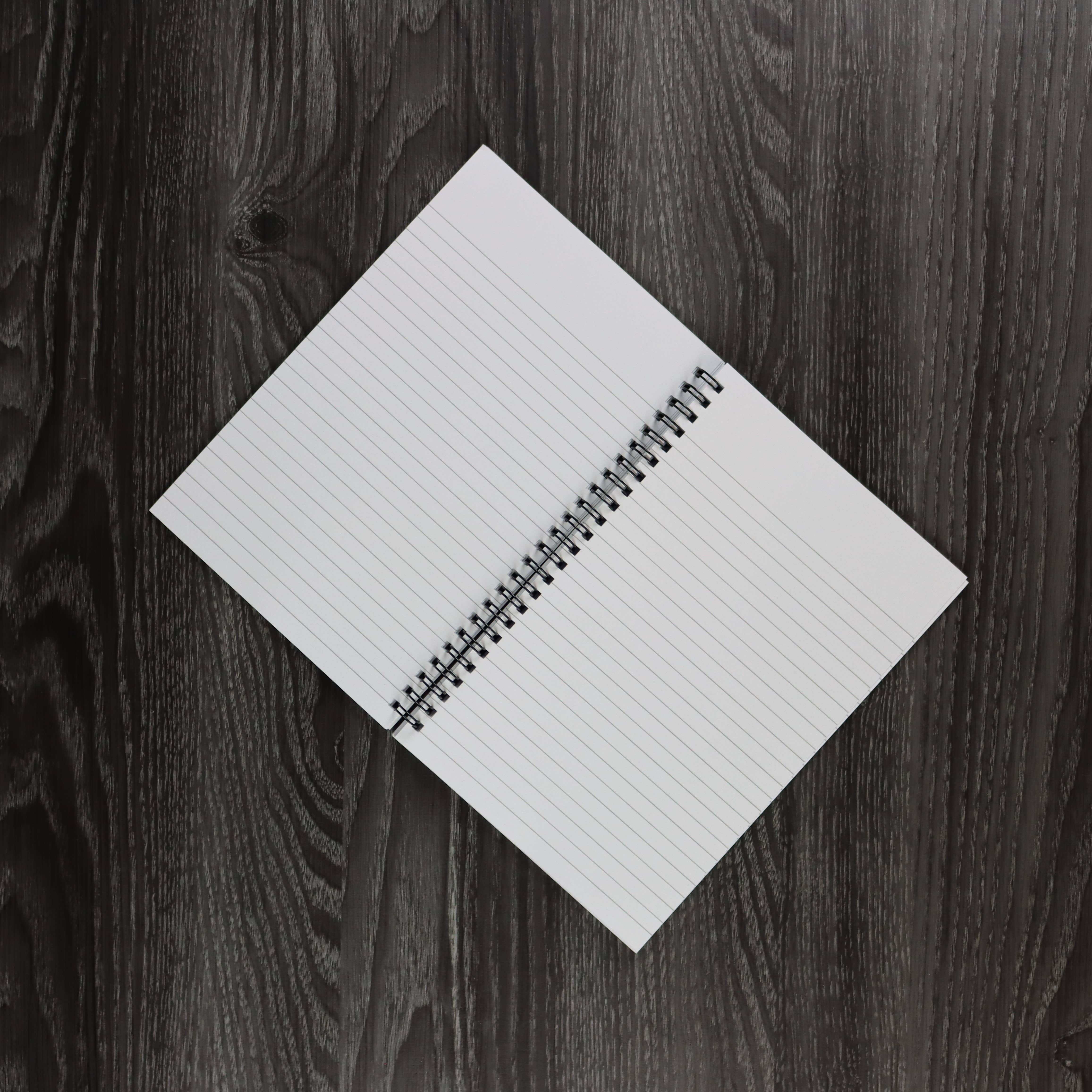 Myra Lynne Art - Wholesale Journal/Diary - Aerial Journal1