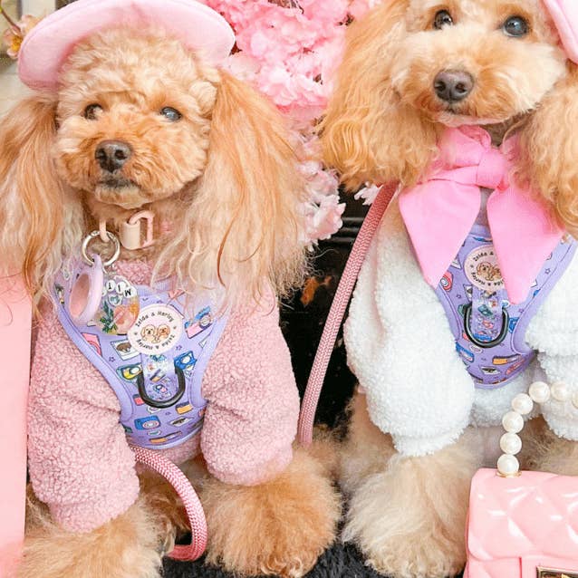 Puparazzi - Harnais ajustable pour chien No Pull pour la vente par Zelda & Harley | The Dog Mom Store