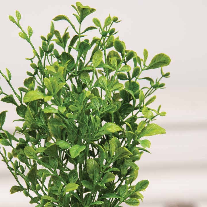 Saybrook Lane – wholesale Artificial plant – Evergreen English Boxwood Bush - 14"