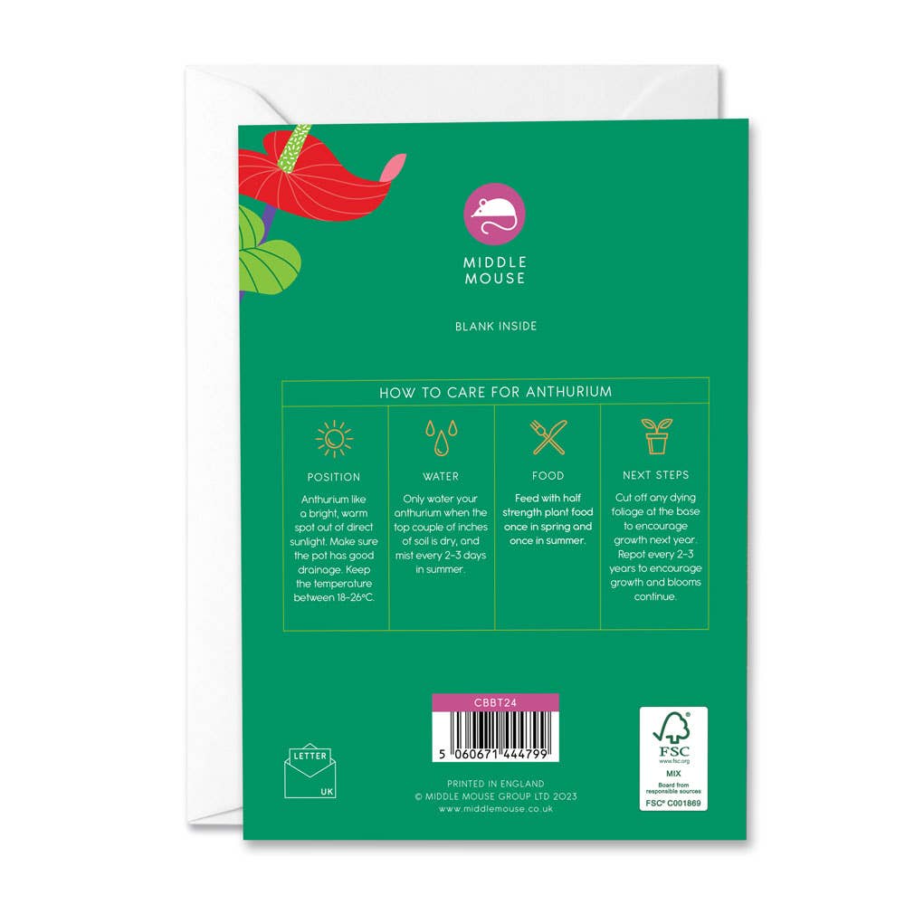 Middle Mouse - Wholesale Everyday Greeting Card - Anthurium card with growing tips1