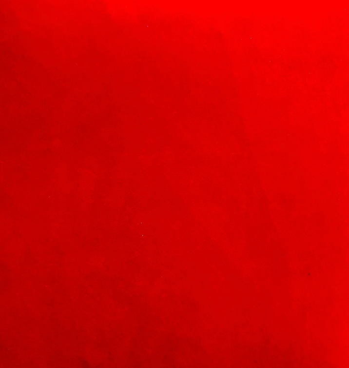 Erin Flett – wholesale Clutch bag – women's – Velvet Clutch1