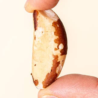 AZADA - Wholesale Nuts - Nueces de Brasil (Coquito)3