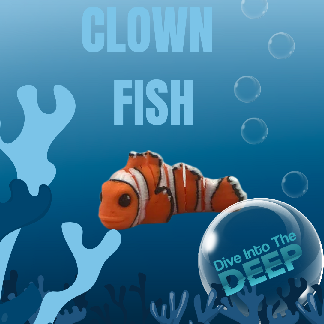 3D Studio Gifts - Vente Fidget/jouet anti-stress – enfant - Miniatures marines 3D imprimées SEA JIGGLETS (présentoir comptoir)10