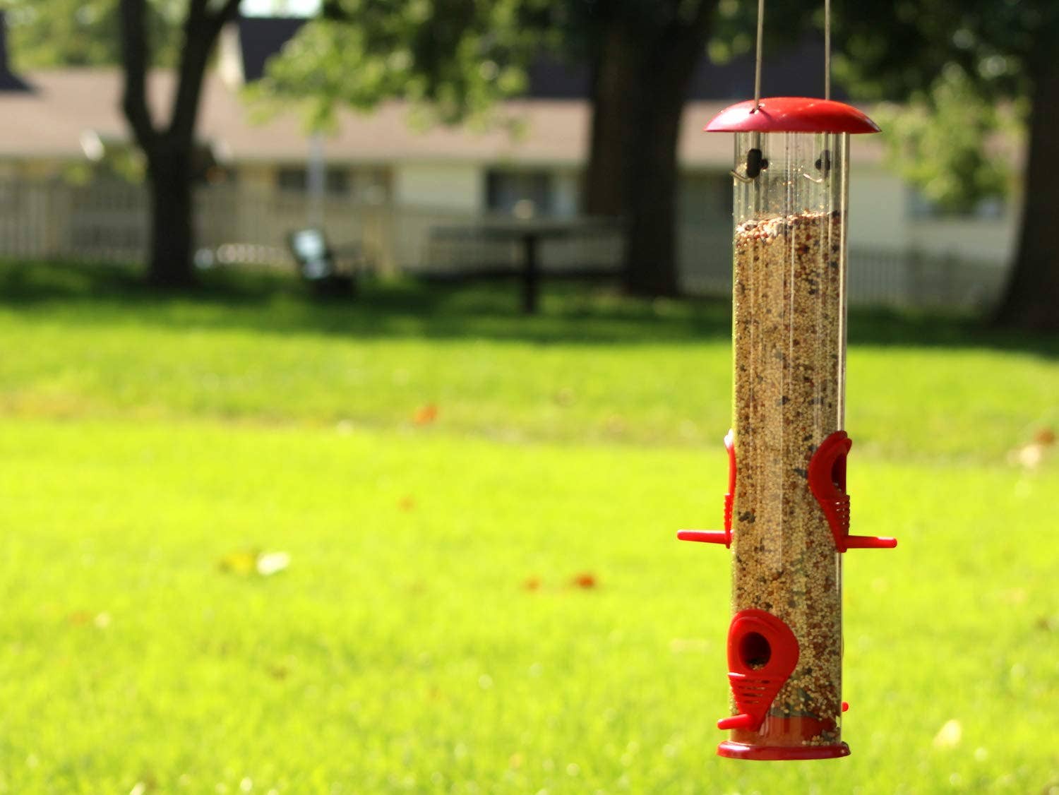 Ashman Online - Wholesale Bird Feeder - Ashman Bird Feeder, Metal Top and Bottom, Spacious Design, Attractive & Long Lasting6