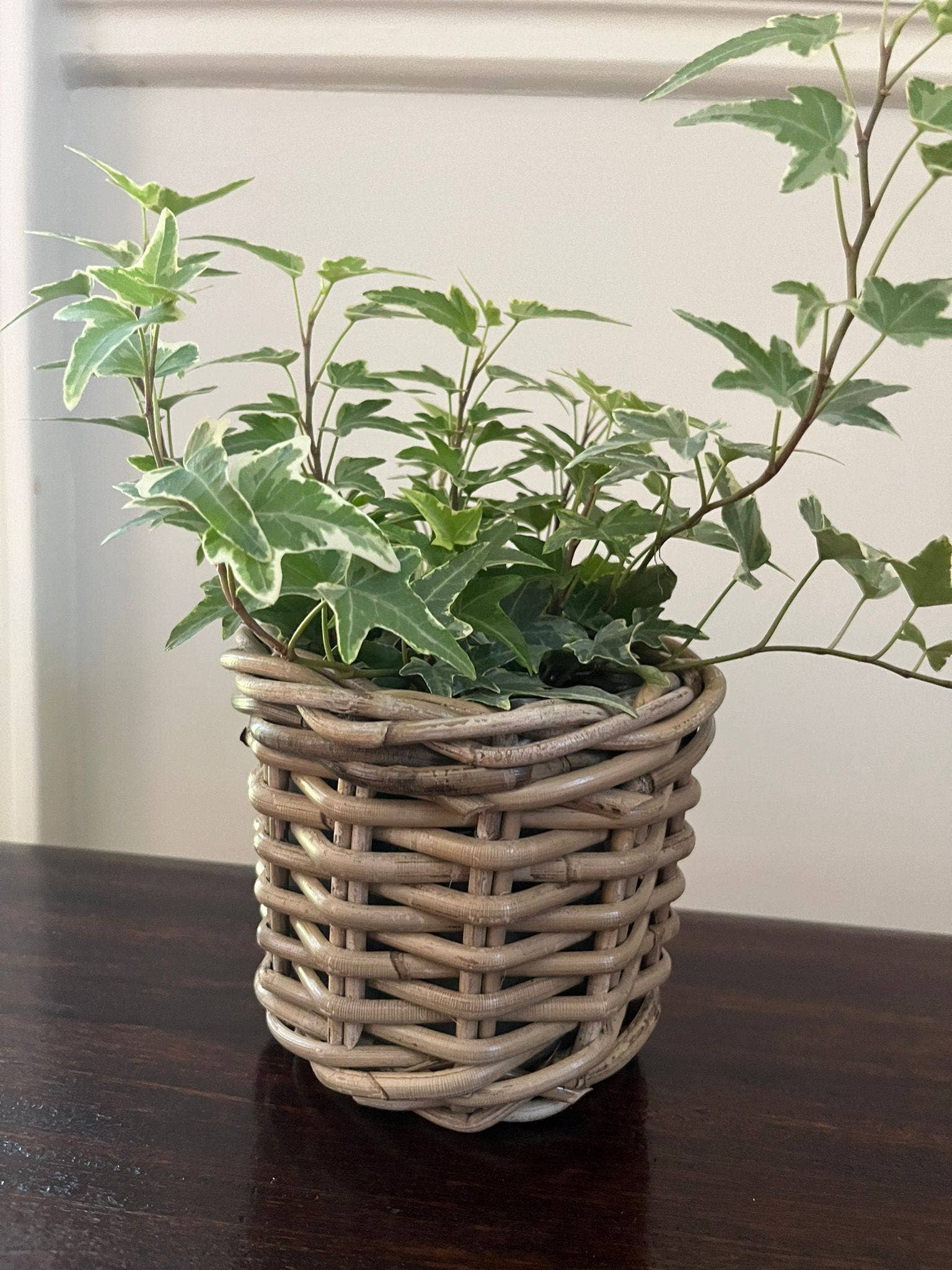 Basketly – Engroshandel Kurv – Rattan blomsterkurv med plastindsats6