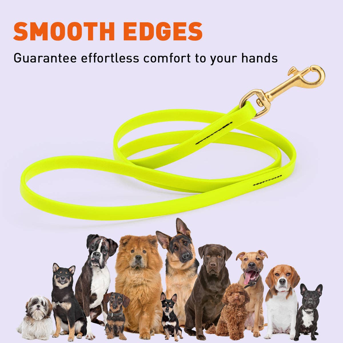 Dogline - Vente Laisse – chien - Laisse de travail pour chien Viper Biothane, 6 pieds de long37