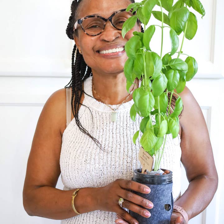 Coco and Seed - Wholesale Plant Seeds - Basil Hydroponic Mason Jar Garden Kit3