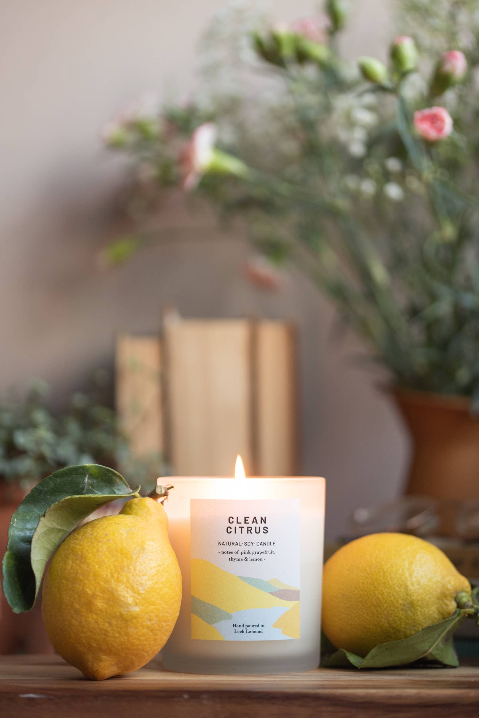 Ocoee House – wholesale Jar/filled candle – Clean Citrus, Organic & Vegan Scented Candle | Ocoee House6