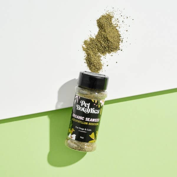 Pet Botanica - Wholesale Pet supplement – Cat/dog - Organic Seaweed Meal Topper for Dogs & Cats - Dental Support3