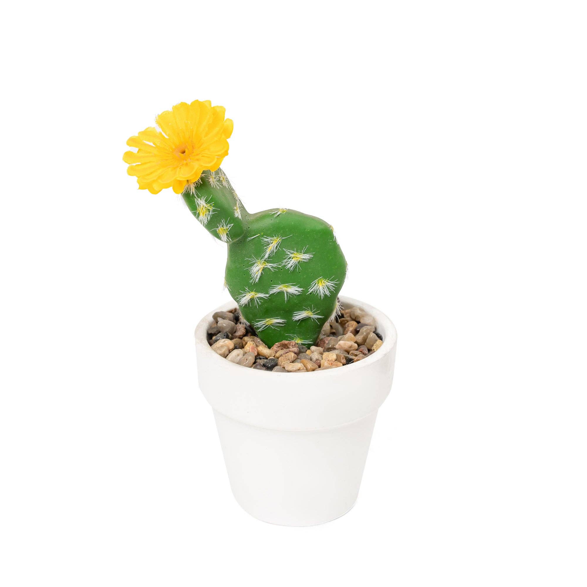 Portofino International Trading, USA - Wholesale Artificial Plant - Artificial Assorted Potted Cactus - Set of 123