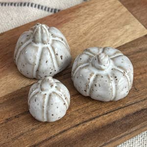 Tiny Pumpkins for wholesale by Ashley Anne Ceramics