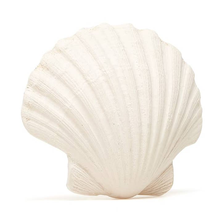 WHITE TEETHER SHELL FOR BABIES for wholesale on Faire