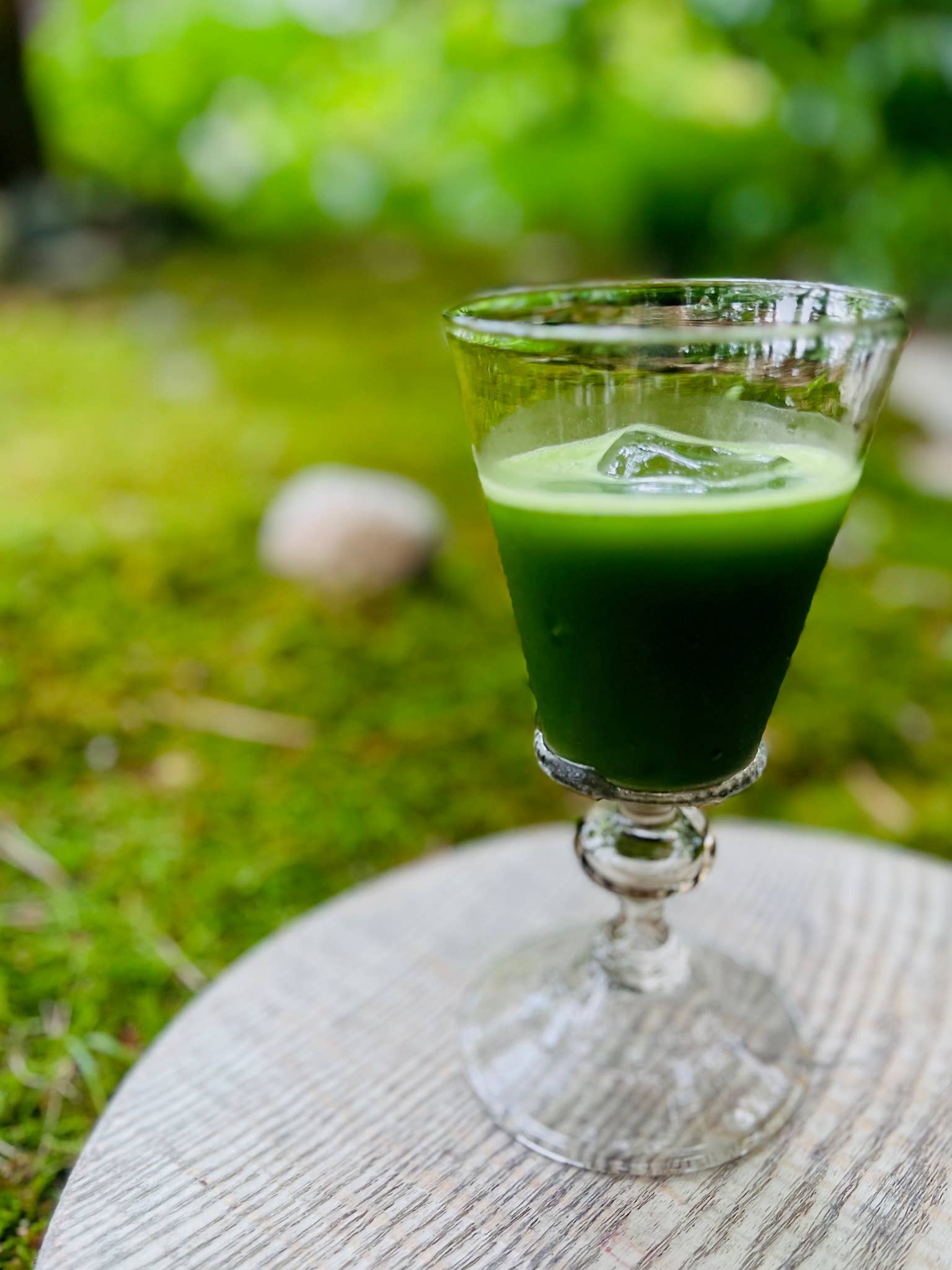 BotaPia - Wholesale Health/Detox Tea - CaffeineFree, 100% Organic Mulberry Matcha5