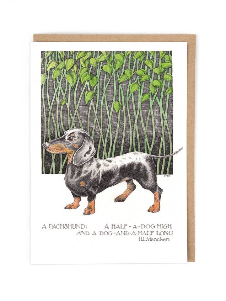 DACHSHUND for wholesale by Cath Tate Cards