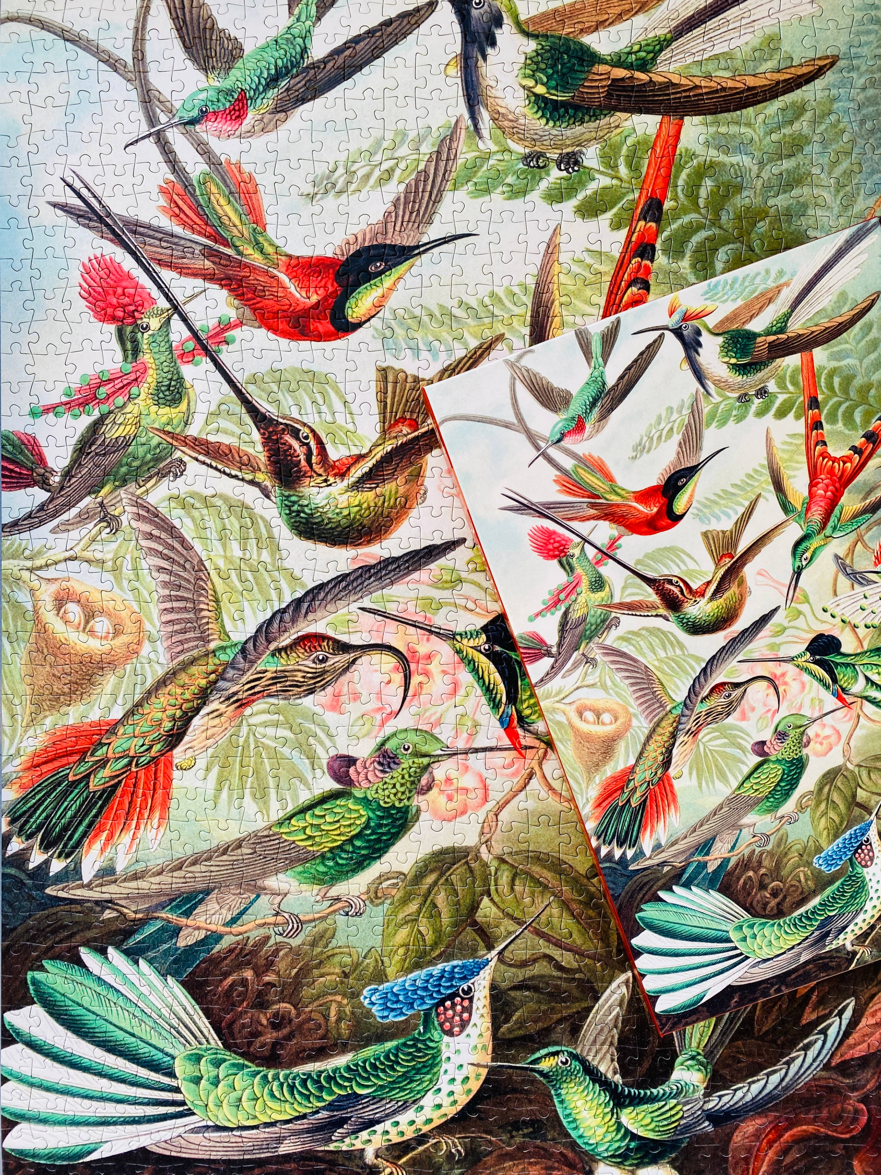 Penny Puzzle - Wholesale Puzzle - Adult - Hummingbirds 1000 piece Vintage jigsaw puzzle9