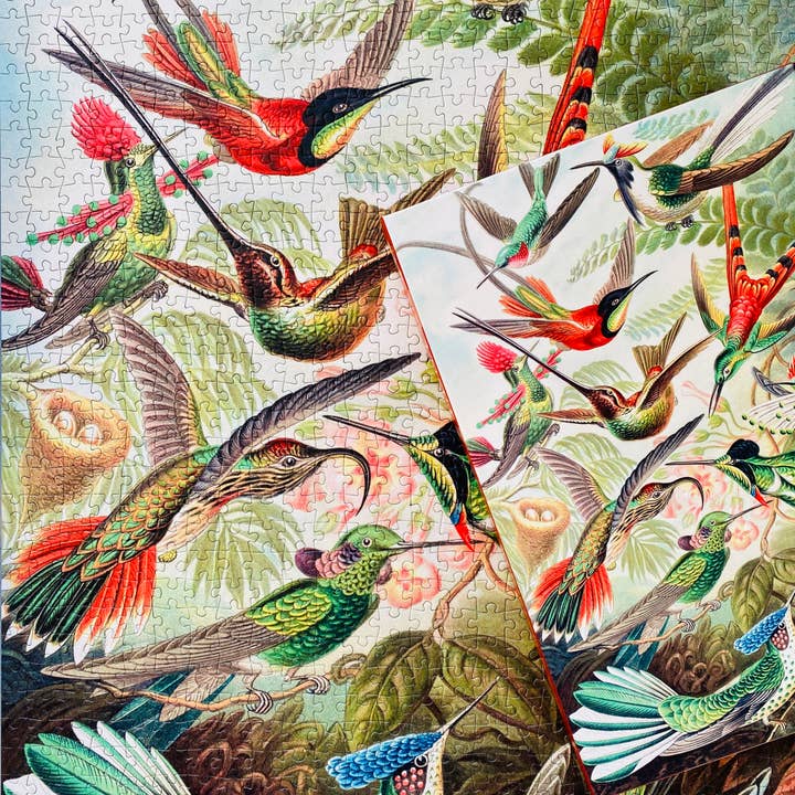 Penny Puzzle - Wholesale Puzzle - Adult - Hummingbirds 1000 piece Vintage jigsaw puzzle9
