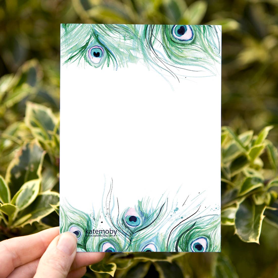 Kate Moby - Wholesale Postcard - Inky Peacock Luxury Textured Postcards1