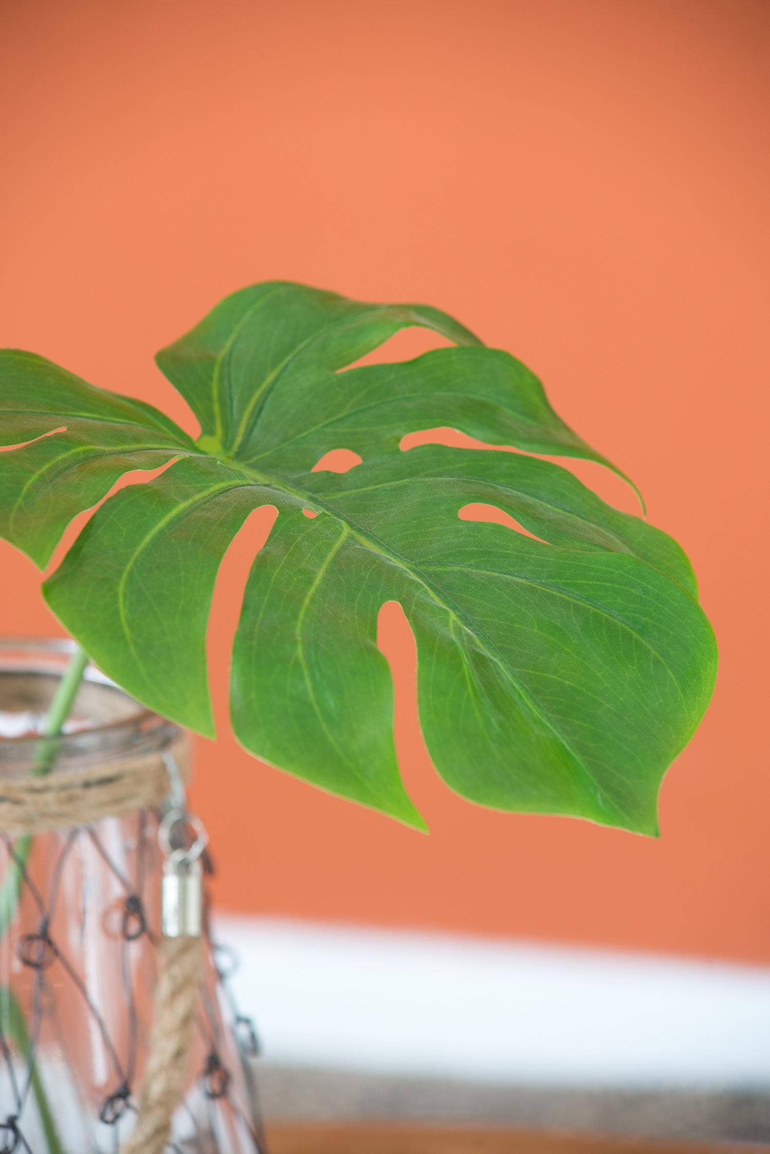 A&B Home Group Inc. - Vente Plantes artificielles - Feuille de Monstera7