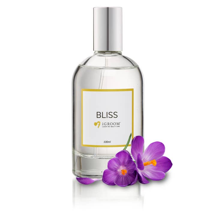Bliss Perfume for wholesale by iGroom