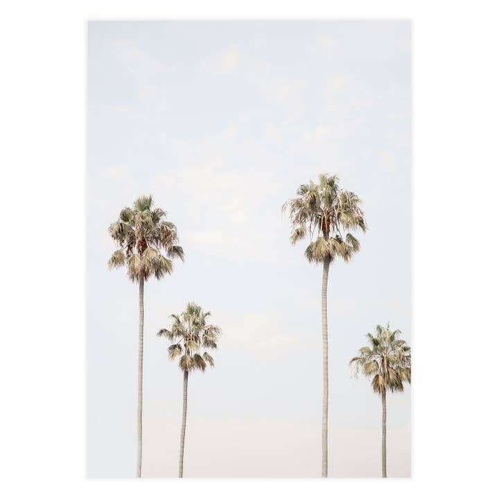 Four Palms Photographic Print for wholesale by Ellisimo