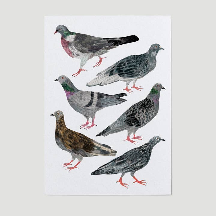 Pigeons Art Print for wholesale by James Barker