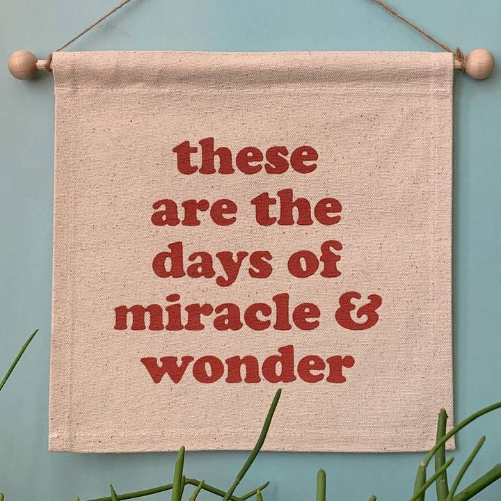 MBMB - Wholesale Banner - Miracle And Wonder Small Banner0