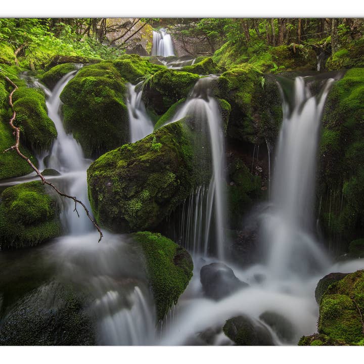 Panel de cristal Mossy Falls de Chris Whiton para venta al por mayor de American Brand Studio