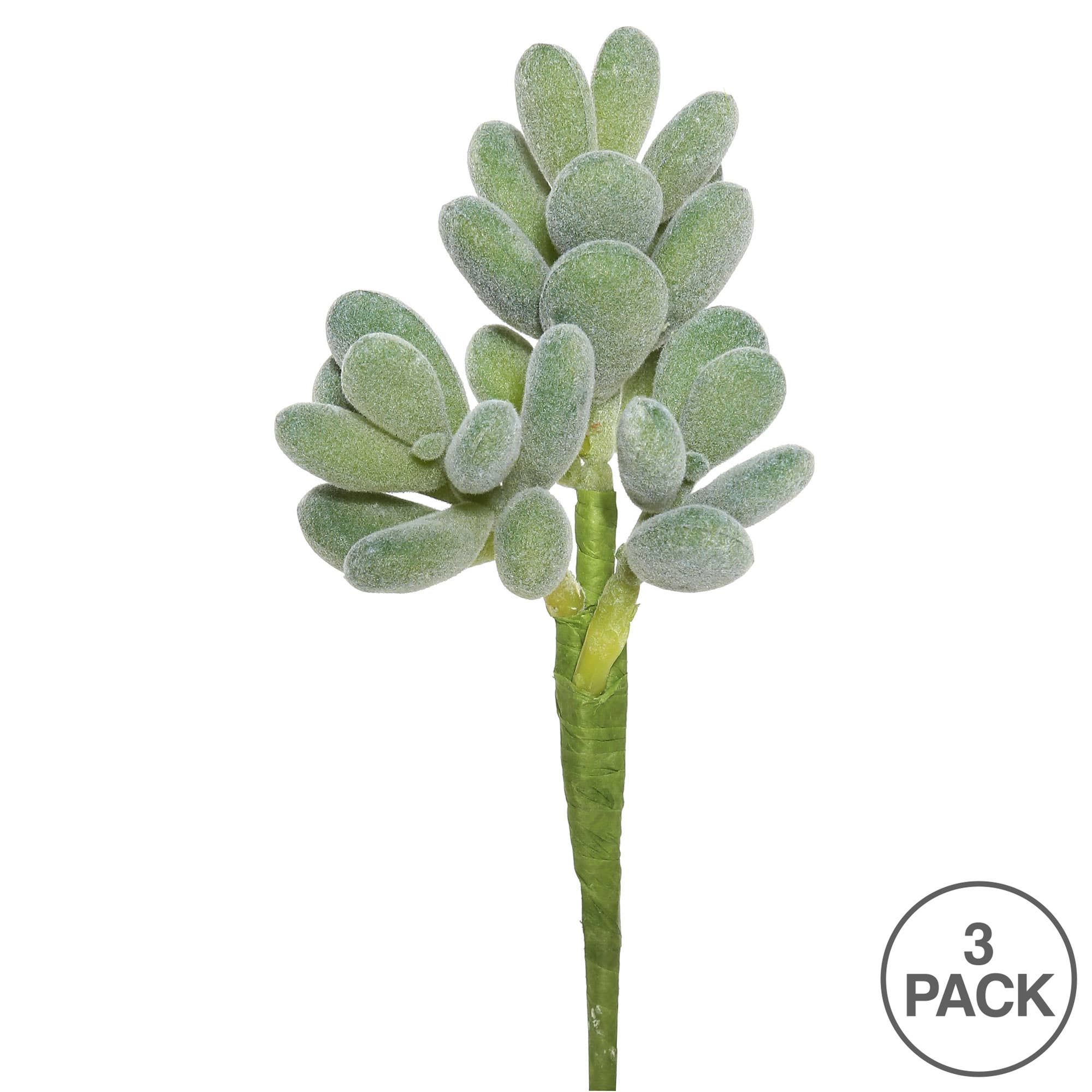 Green Vickerman 7" Artificial Crassula Pick, Set of 3 for wholesale on Faire2