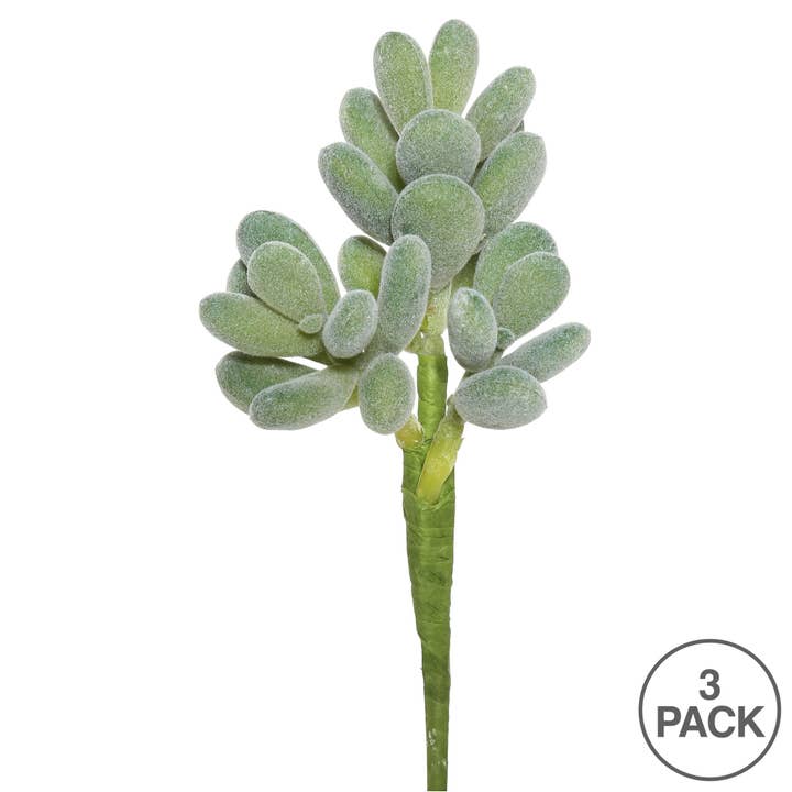 Green Vickerman 7" Artificial Crassula Pick, Set of 3 for wholesale on Faire2