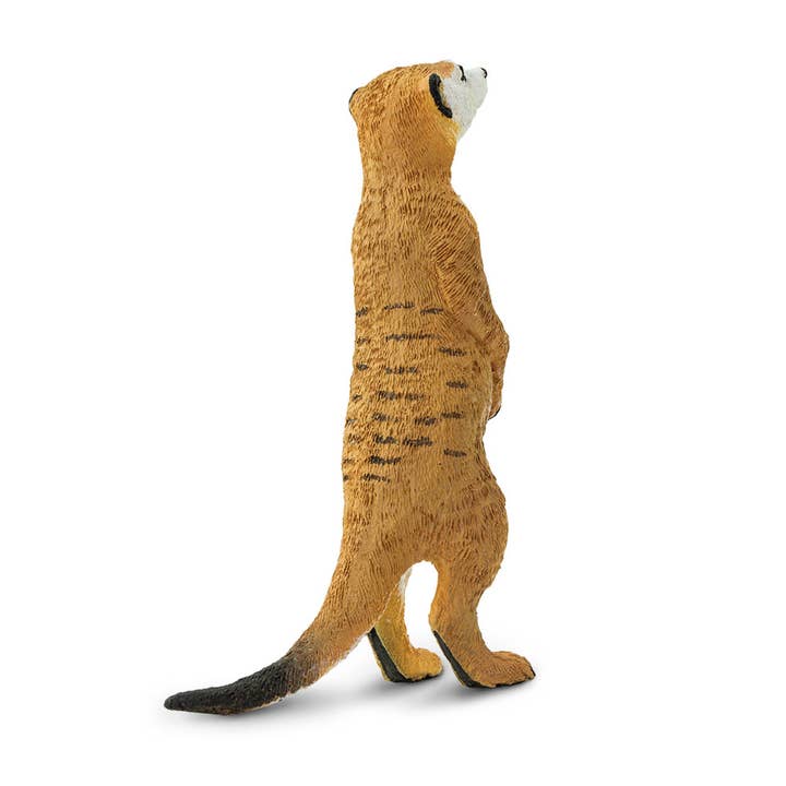 Safari Ltd. - Wholesale Figurine Toy - Kids - Meerkat - 2246292