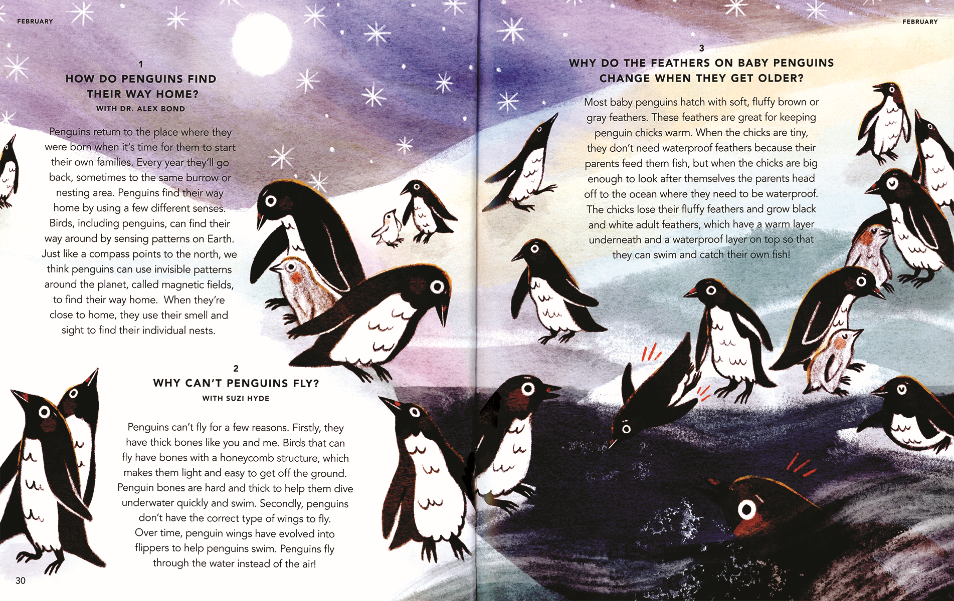 EDC Publishing - Wholesale Early Reader Book (6-8) - Everything Under the Sun2