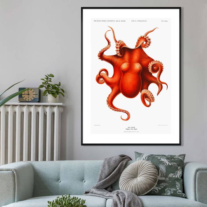 Octopus Vintage Antique Print for wholesale by Ink & Drop