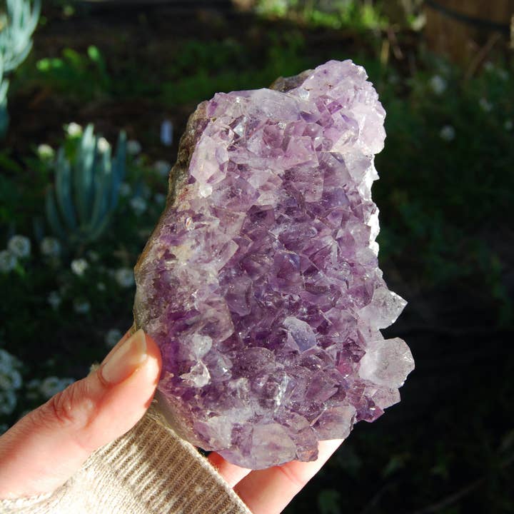 Caspar Curiosities - Wholesale Spiritual Stone/Crystal - 1.3lb Large Raw Amethyst Geode Quartz Crystal Cathedral Cluster, Self Standing, Uruguay1