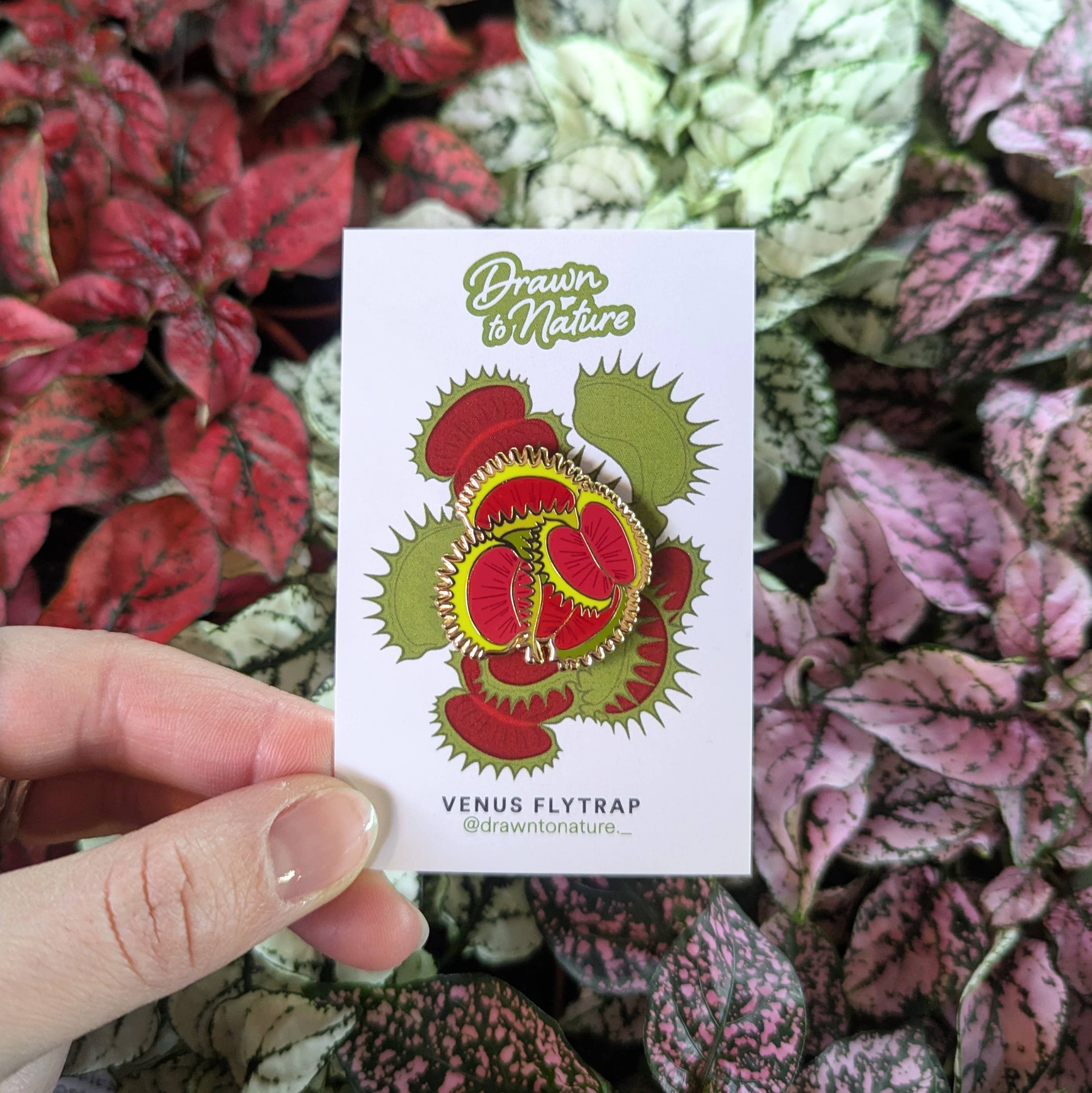 Drawn to Nature – wholesale Lapel pin/button – Venus Flytrap Enamel Pin - Flower Pin - Nature Pins2
