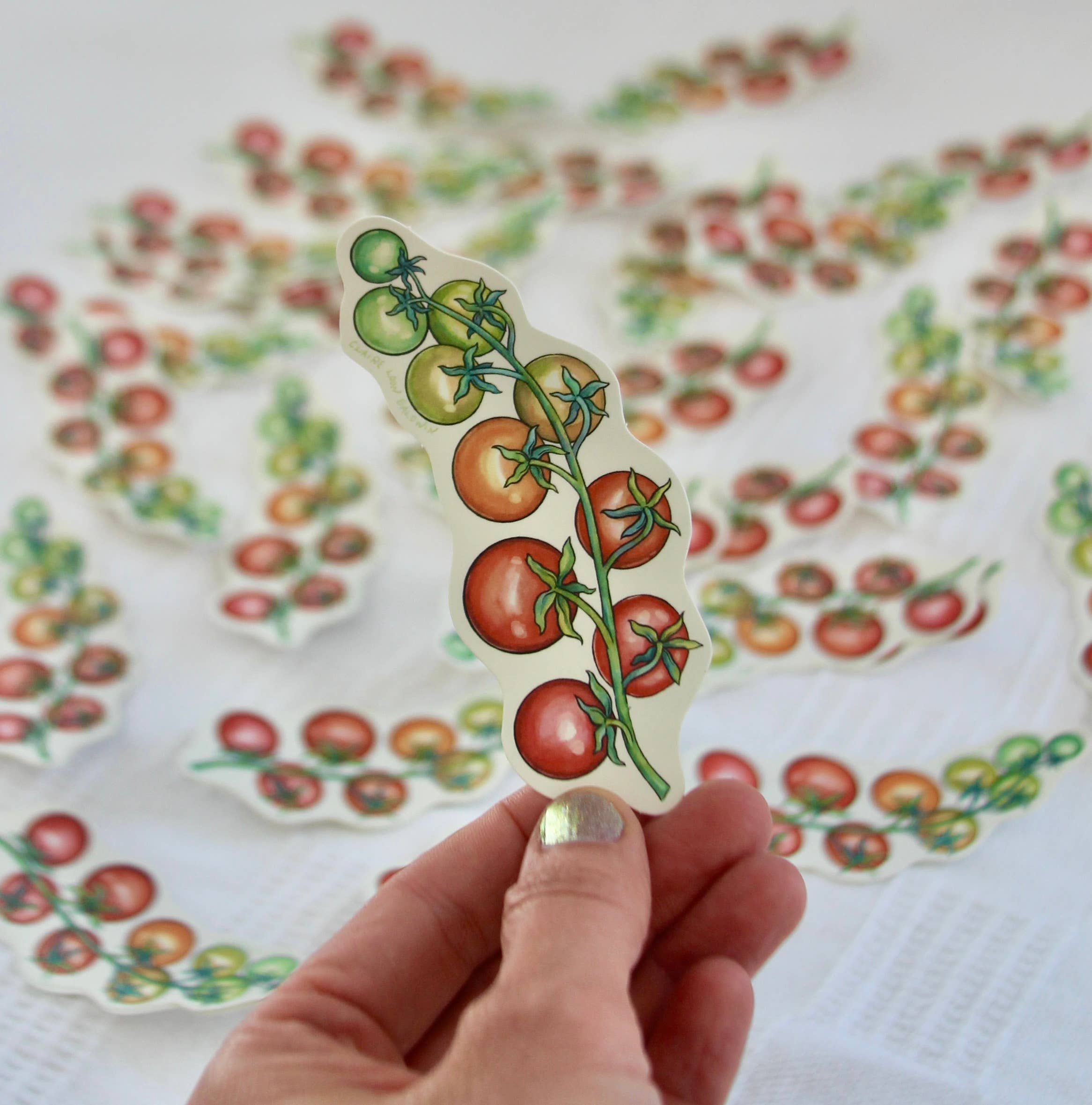 Claire Loon Baldwin Illustration - Wholesale Sticker - Rainbow Cherry Tomato Vine Sticker1