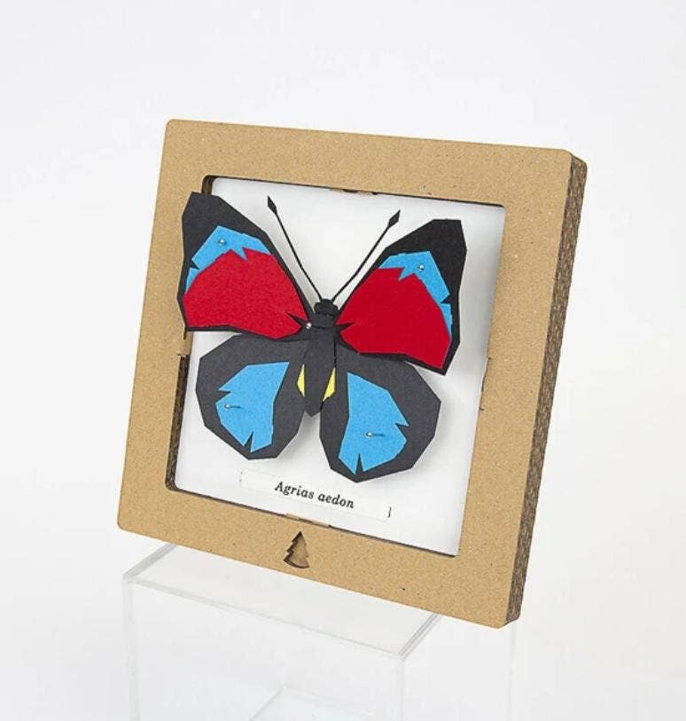 「FUNJI」In Japan - Wholesale DIY Craft Kit - DIY 3D Origami Butterfly Craft Kit - Japanese Art1