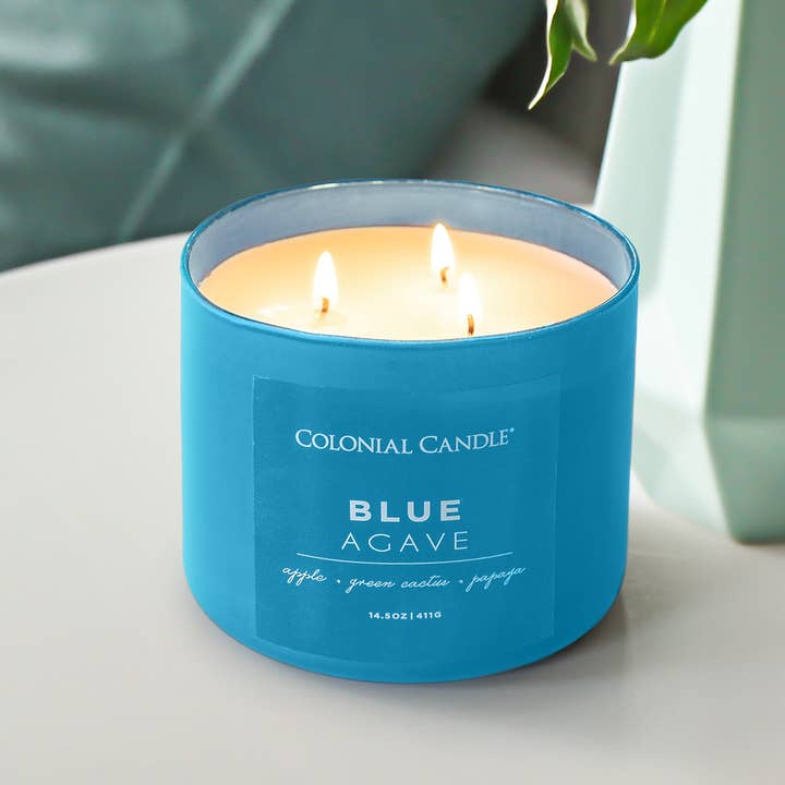 MVP Group International INC - Wholesale Jar/Filled Candle - Blue Agave Scented Jar Candle, Soy Blend Wax, 14.5oz0