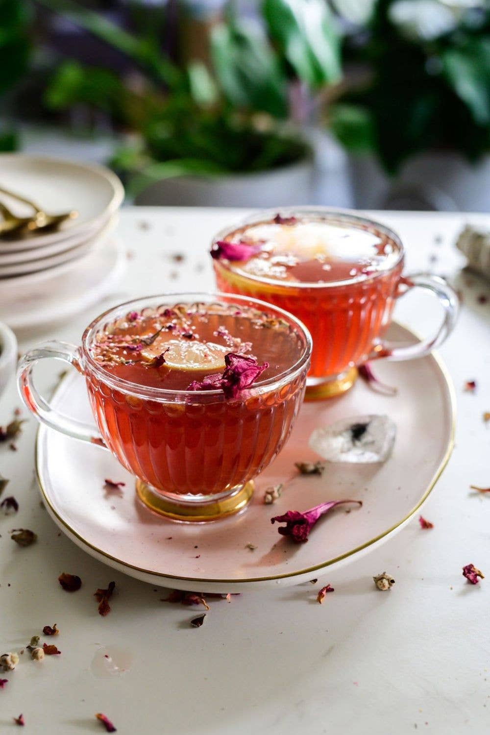 Botanica Teas - Wholesale Loose Tea - Rosy Tisane | Rosehip & Hibiscus Herbal Tea Blend0