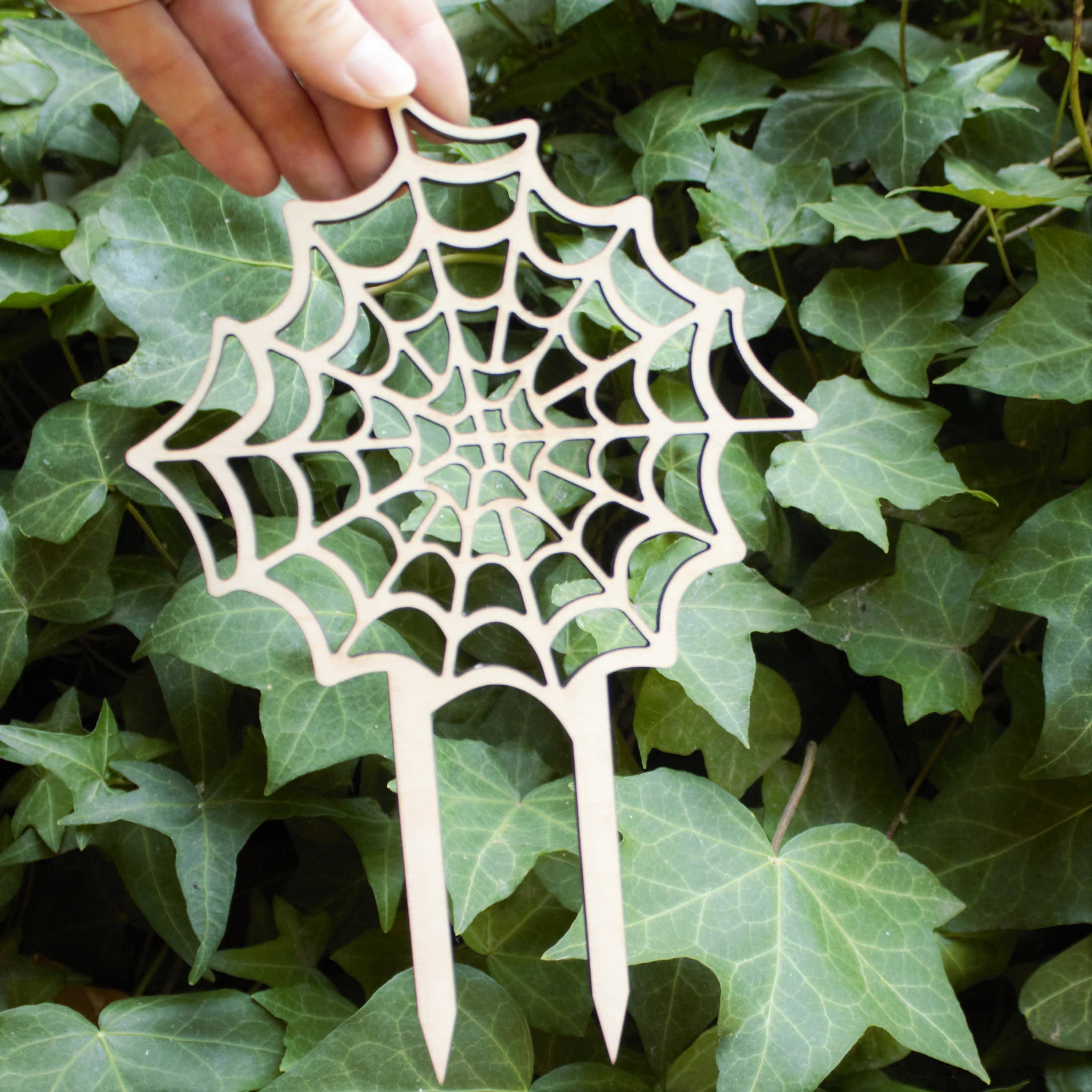 PlantsNsht – Latada por atacado – Trellis de plantas de teia de aranha4