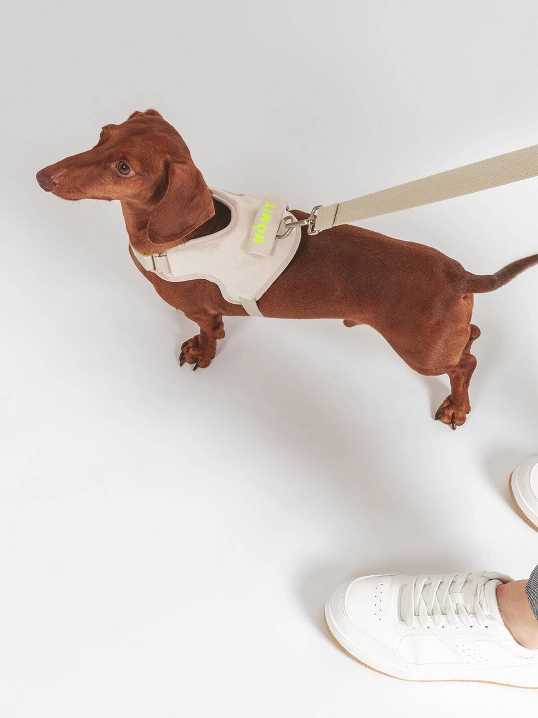 Qisu – Großhandel Leine – Hund – Leine mit fester Länge | Hug Leash8